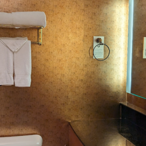 APZ05 Hotel Bathroom