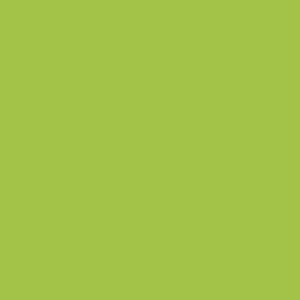 S189 Bright Green Interior Film - Solid Color Collection