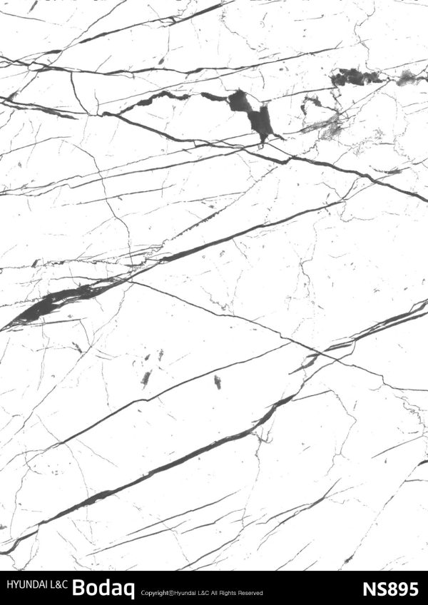NS895 Bianco Marquina - Stone & Marble Collection