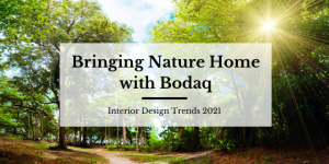 Bringing Nature Home with Bodaq - Blog Post Featured Image