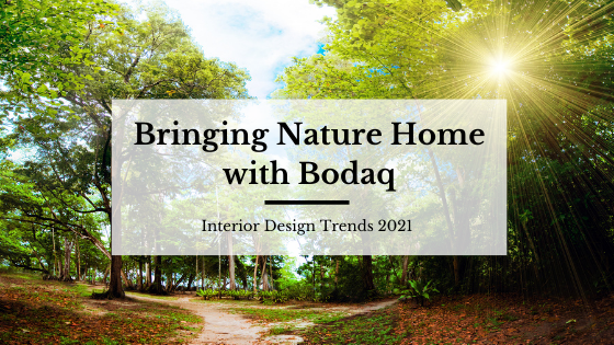 Bringing Nature Home with Bodaq - Blog Post Featured Image