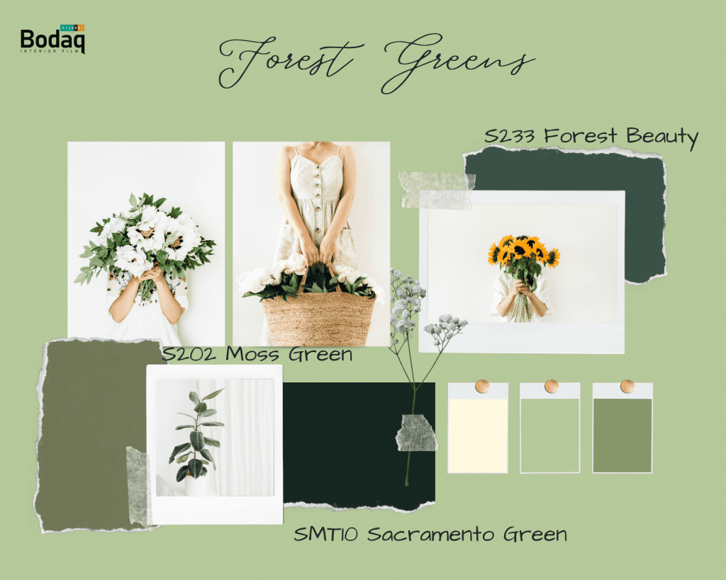 Bodaq Interior Film Forest green palette