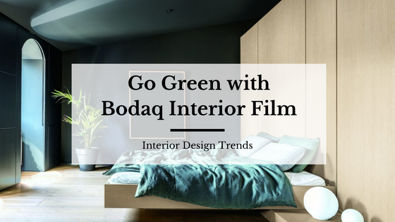 Go Green with Bodaq Interior Film featured blog post image