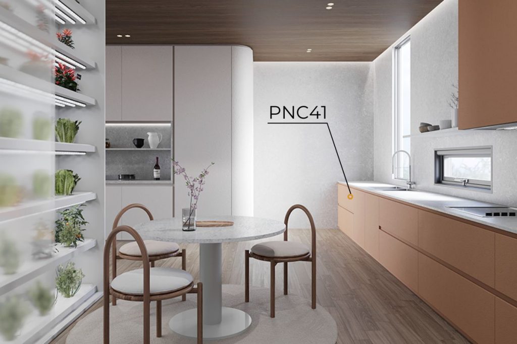 PNC41 Kitchen Refinishing