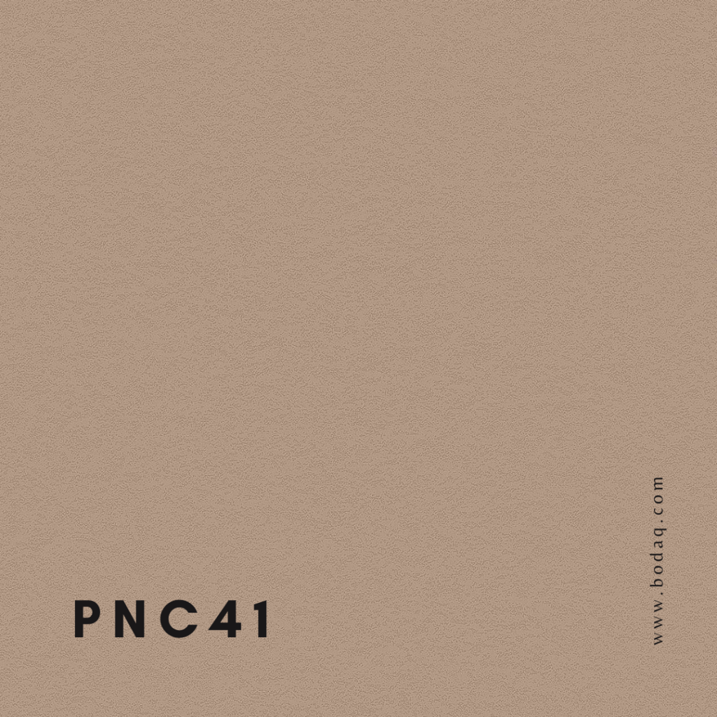 PNC41