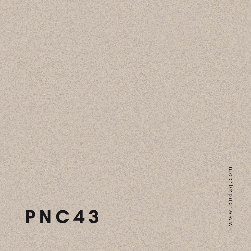 PNC43