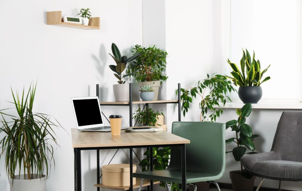 Small office design ideas: add plants