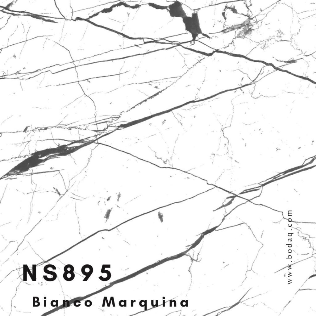 NS895 Bianco Marquina