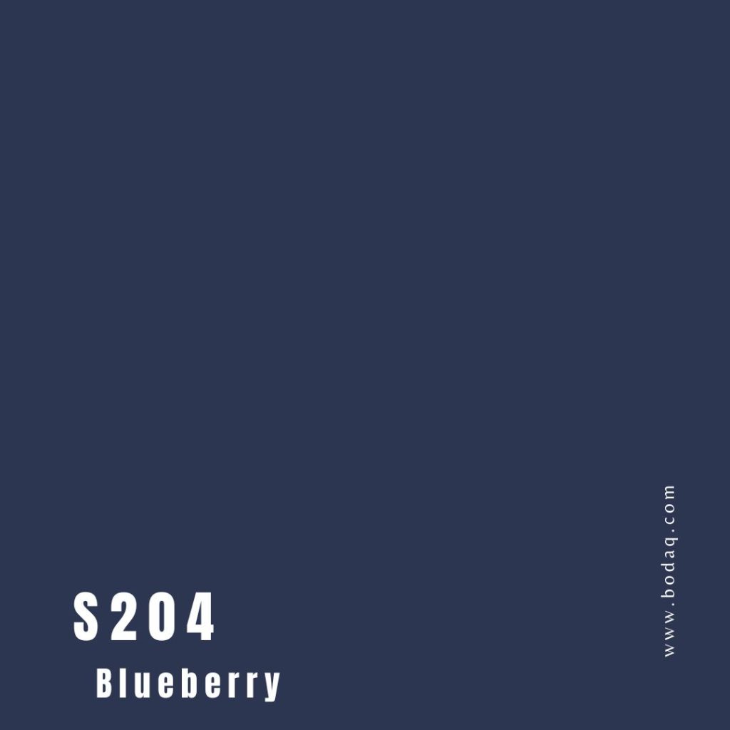 S204 Blueberry. Square pic
