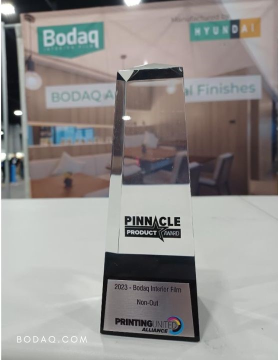 Bodaq - Product of the year - Pinnacle Product Award 2023