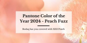 Pantone color of the year 2024 - Peach Fuzz. Featured Image
