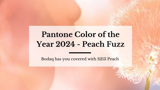 Pantone color of the year 2024 - Peach Fuzz. Featured Image