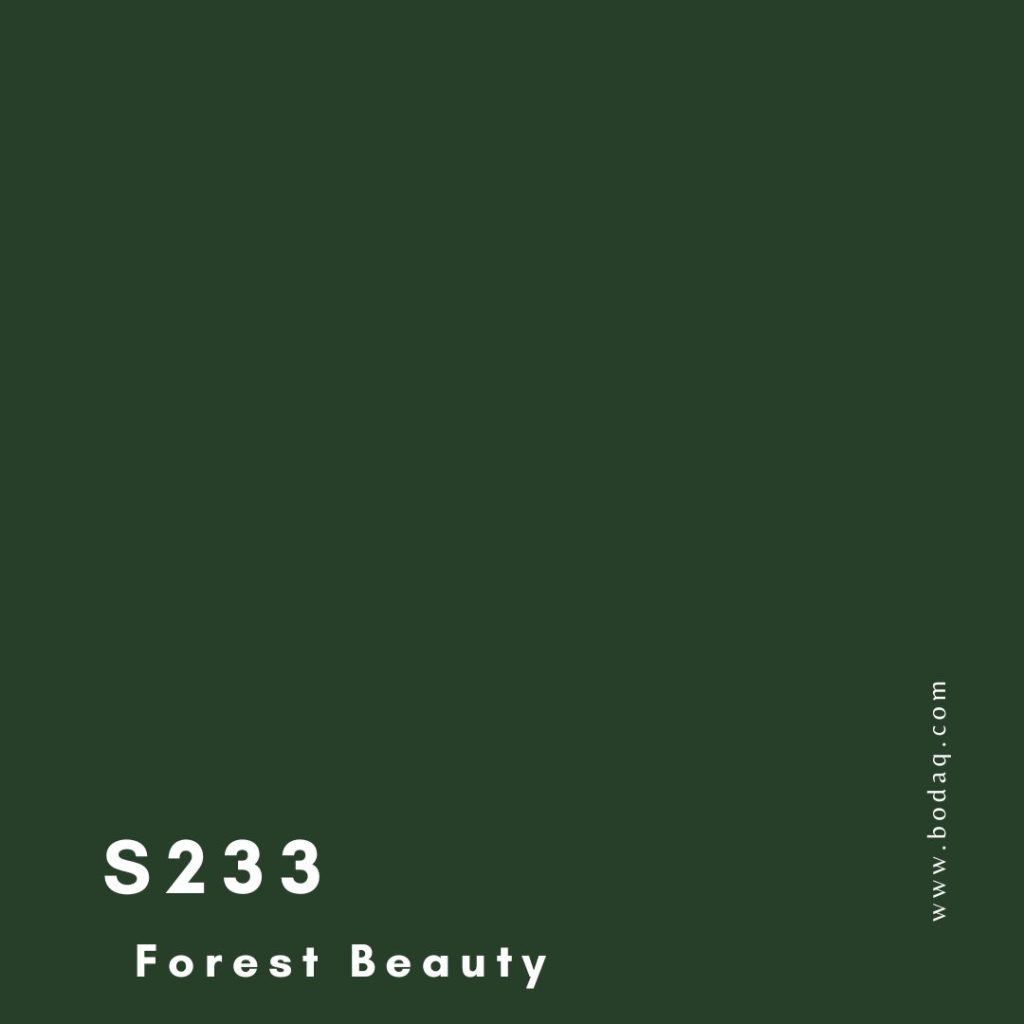 S233 Forest Beauty. Square