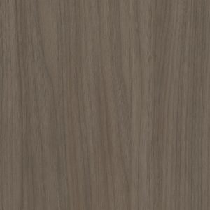 W954_NEW