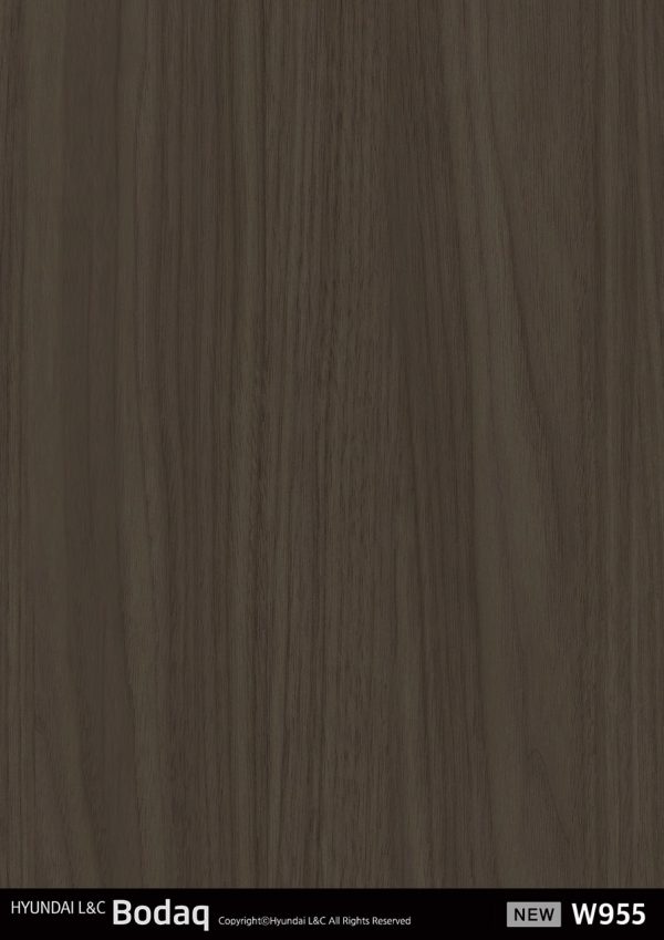 W955_NEW