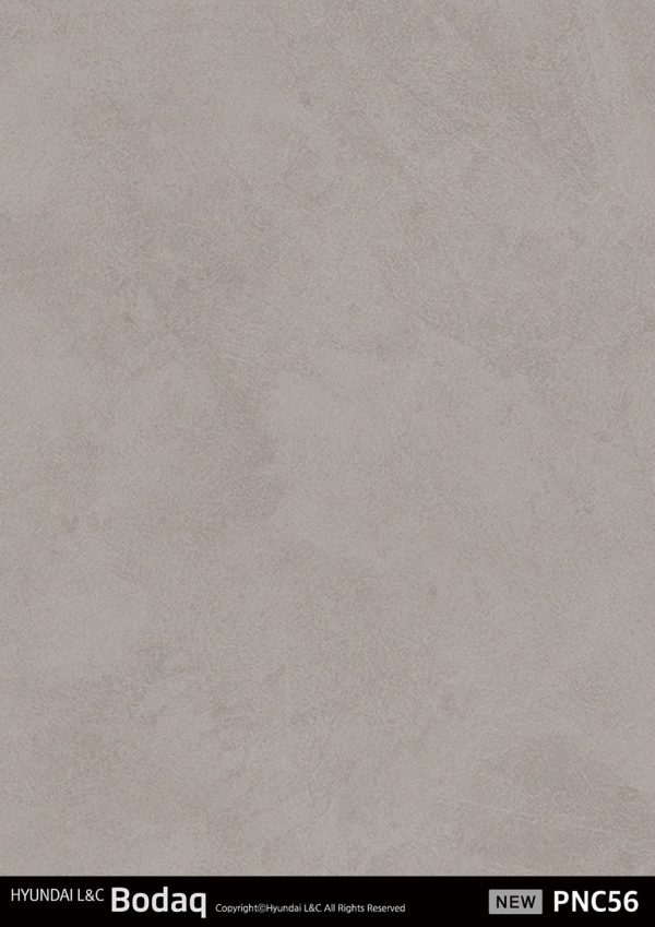 PNC56 Stucco Interior Film - Premium Painted Concrete