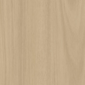 W017 W017 Eucalyptus